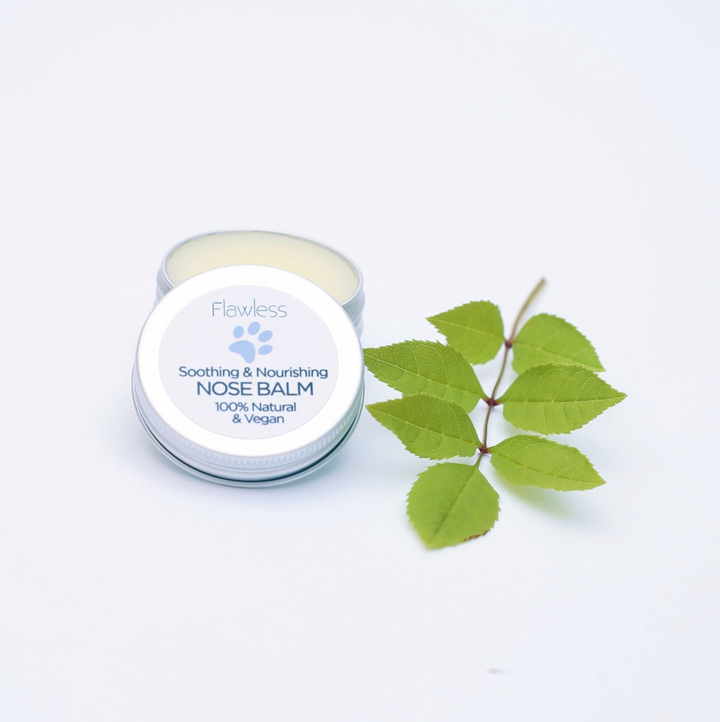 Nose Balm for Dogs - Soothing & Nourishing - PawsLoft