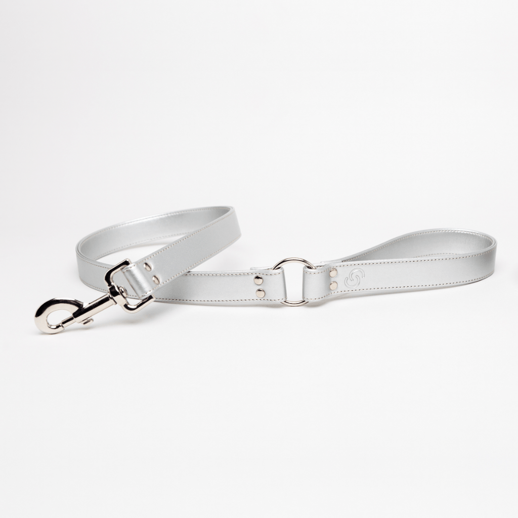 Silver Skylos Set - PawsLoft