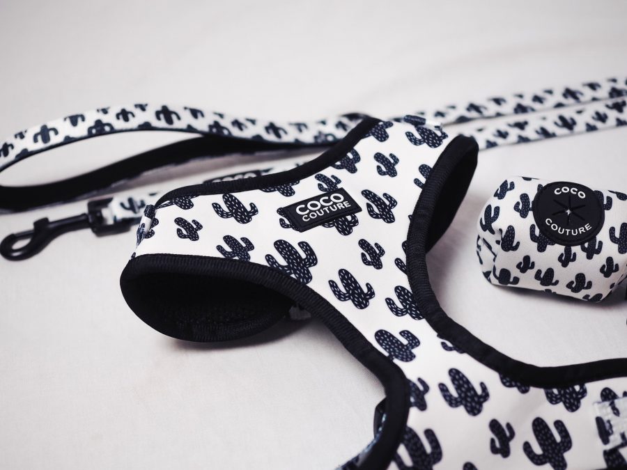 Prickly Paws Adjustable Dog Harness – by Coco Couture - PawsLoft