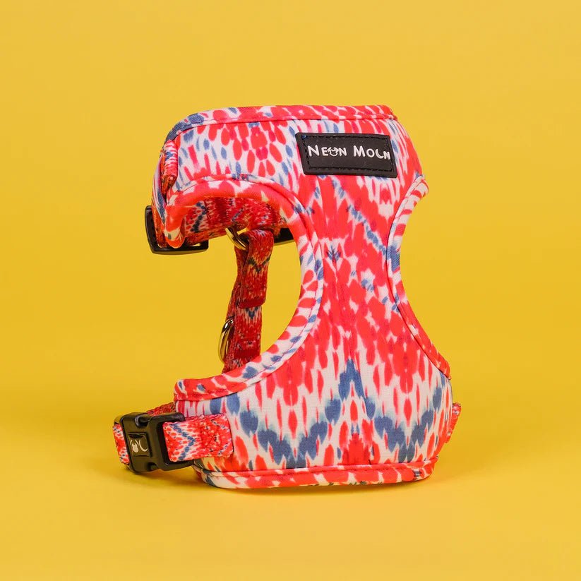 The Tod Mesh Dog Harnesss - by Neon Moon Pet Boutique - PawsLoft