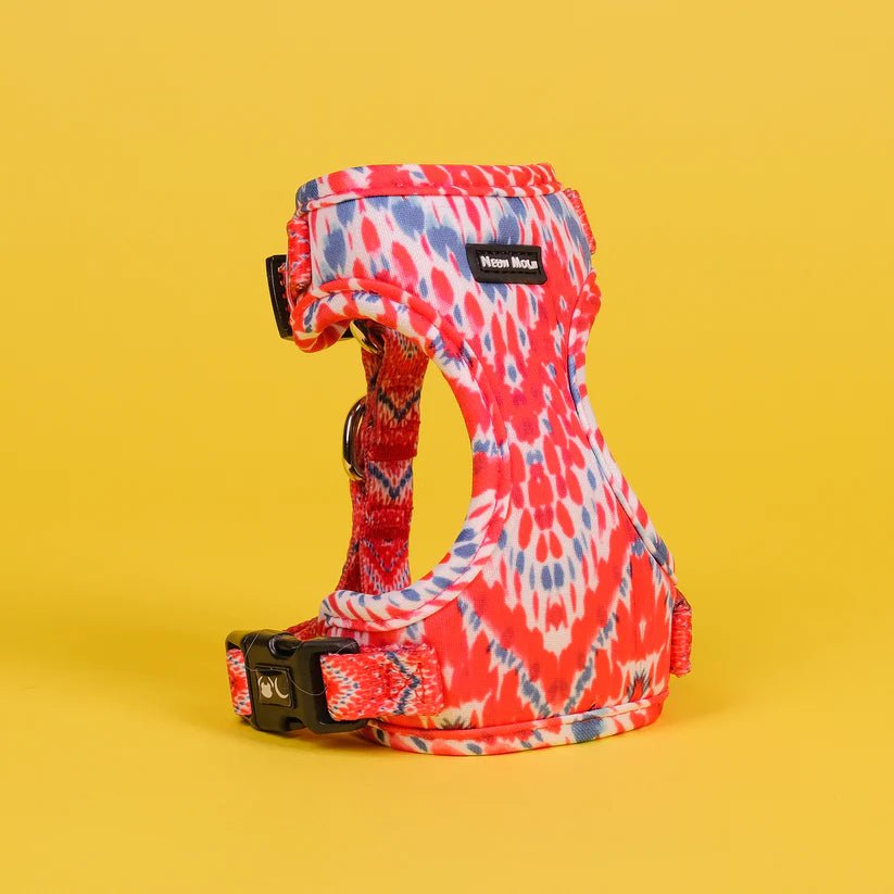 The Tod Mesh Dog Harnesss - by Neon Moon Pet Boutique - PawsLoft