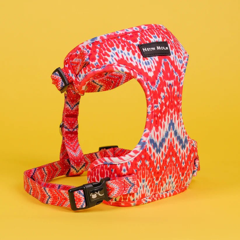 The Tod Mesh Dog Harnesss - by Neon Moon Pet Boutique - PawsLoft