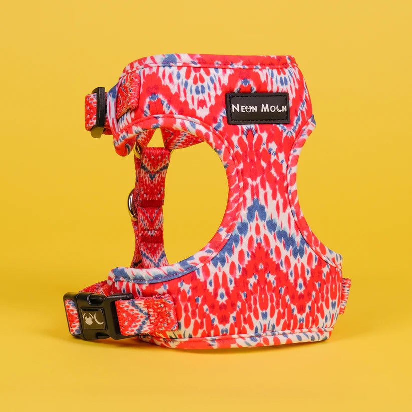 The Tod Mesh Dog Harnesss - by Neon Moon Pet Boutique - PawsLoft