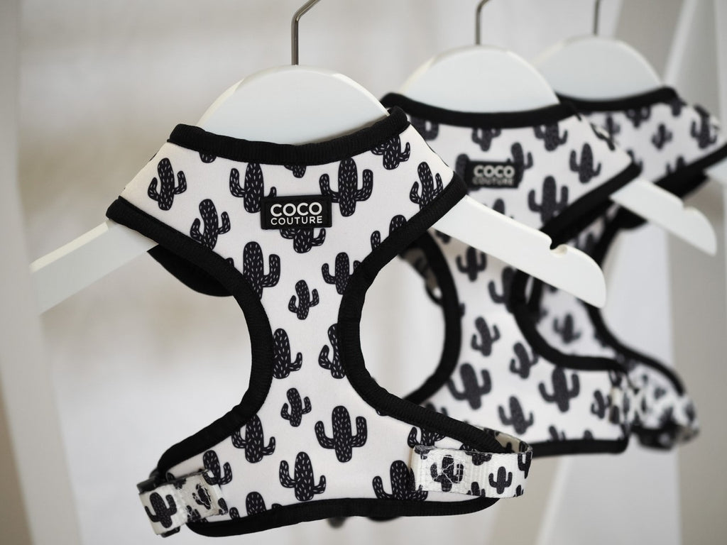 Prickly Paws Adjustable Dog Harness – by Coco Couture - PawsLoft