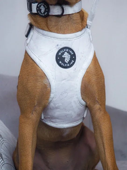 ALASKA Adjustable Harness by Wolfie + Me - PawsLoft